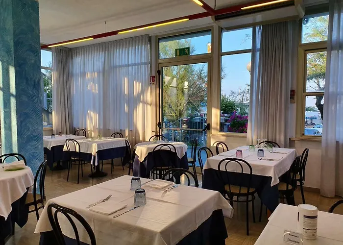 Bristol - Koolibry 切尔维亚